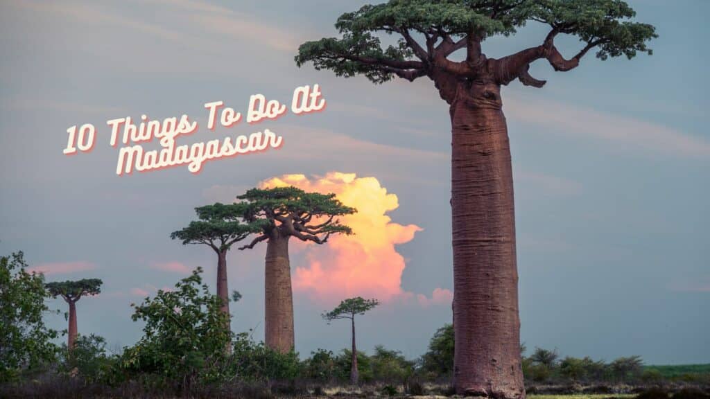 10 things to do at Madagascar Island