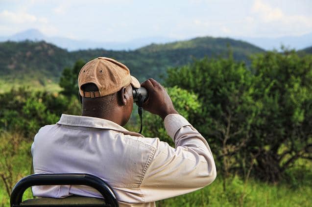 binoculars for a safari