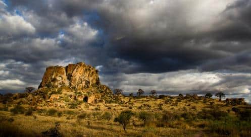 Mapungubwe National Park - Insights, 9 Things To Do And Accomodation
