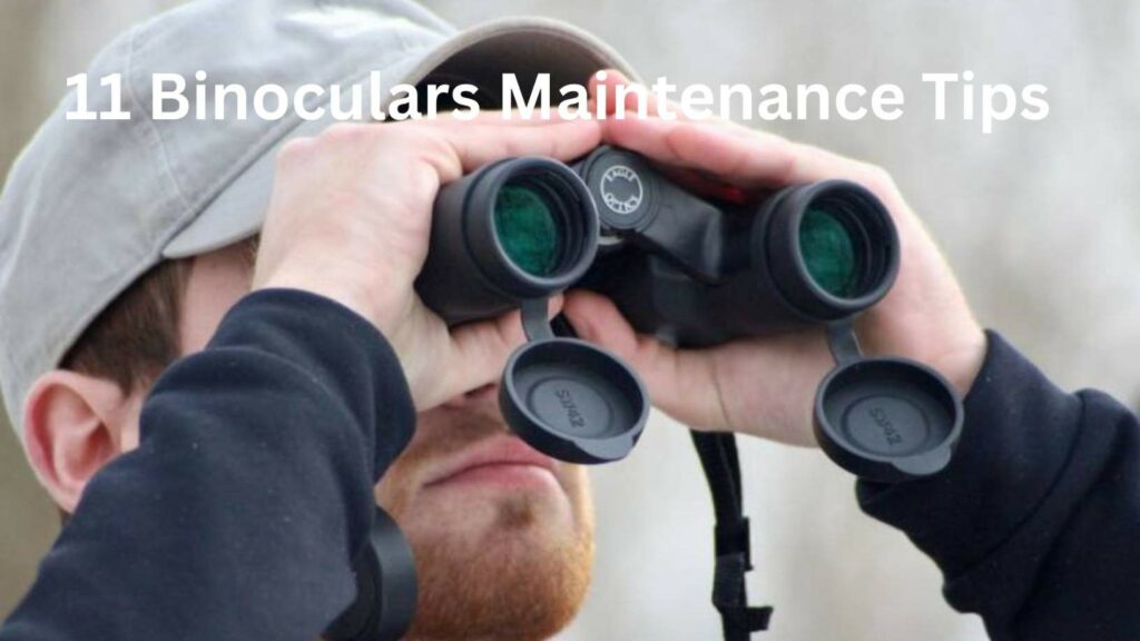 11 Binoculars Maintenance Tips To Ensure They Last As Long As You
