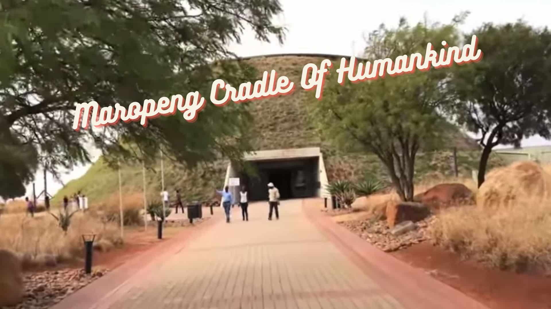 the cradle of humankind in south africa