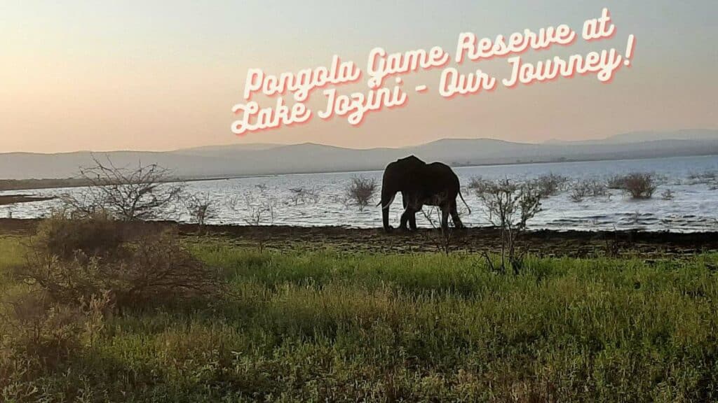 Pongola Game Reserve