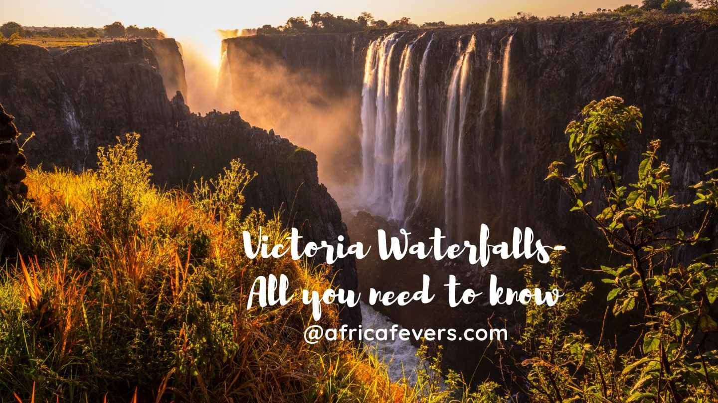Victoria Waterfalls-All you need to know