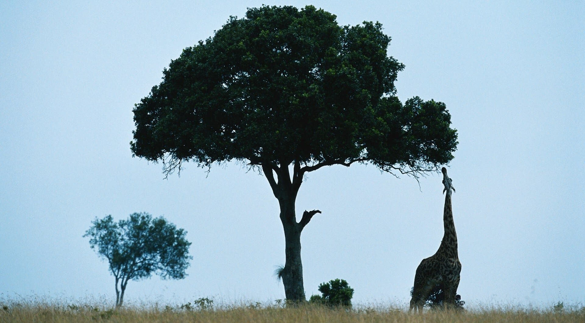 Must-Have Gadgets for Every African Overlanding Adventure