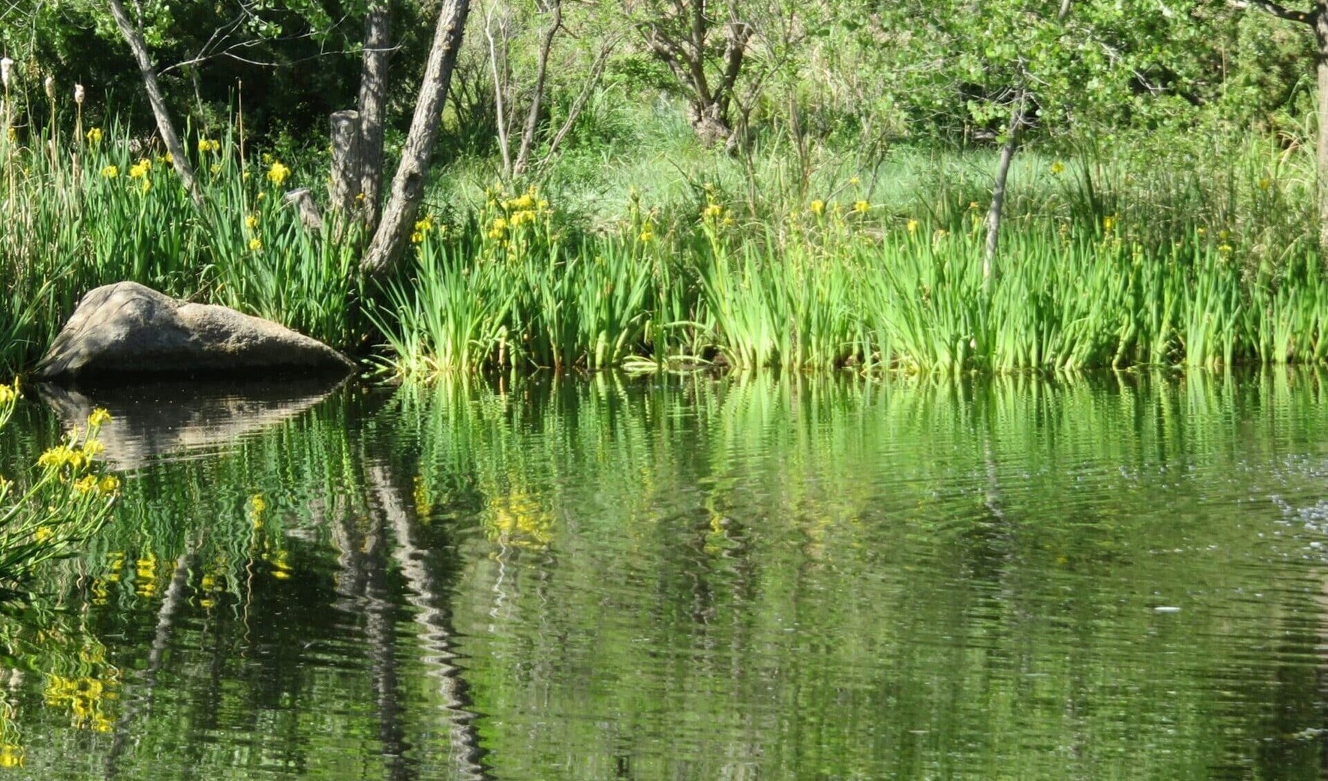 How I Filter Water from African Rivers Without Getting Parasites — My Tried and Tested Method
