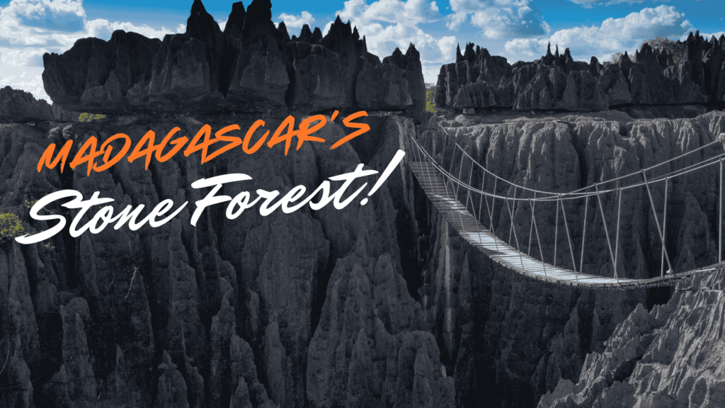 madagascar stone forest