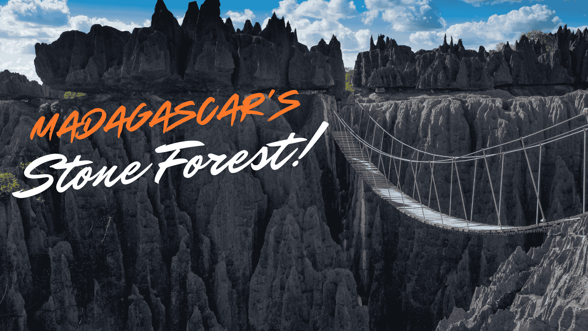 madagascar stone forest